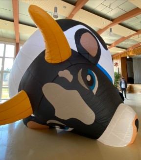 Lass deine Kuh fliegen